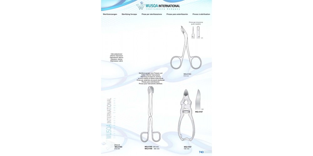 Sterilizing Forceps